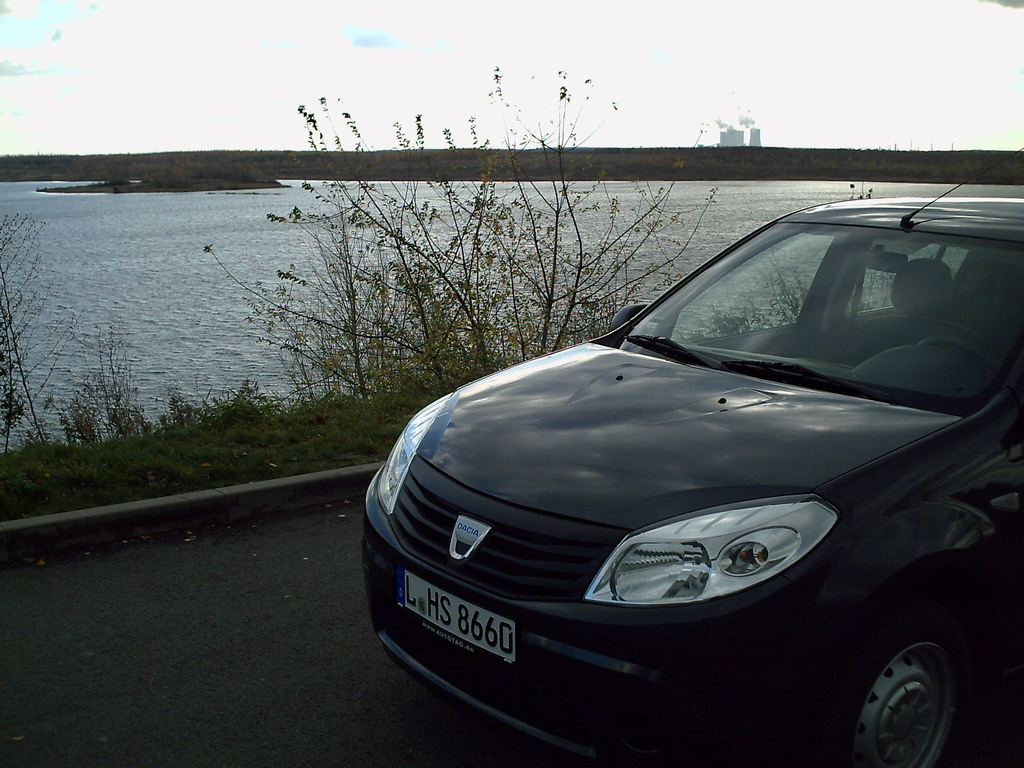 sandero
